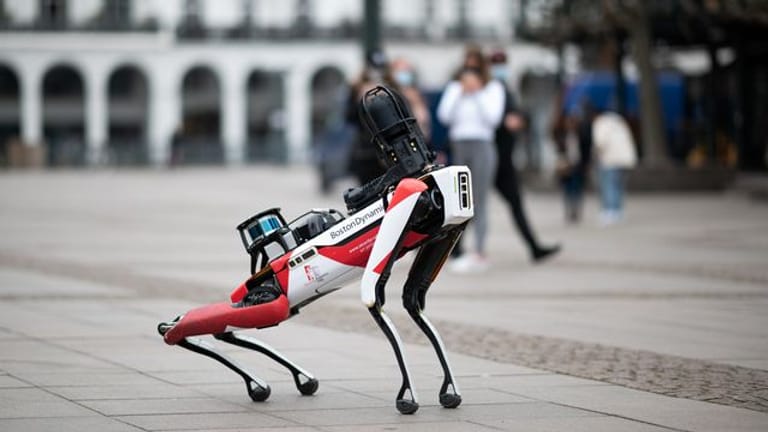 Der Roboter "Spot".