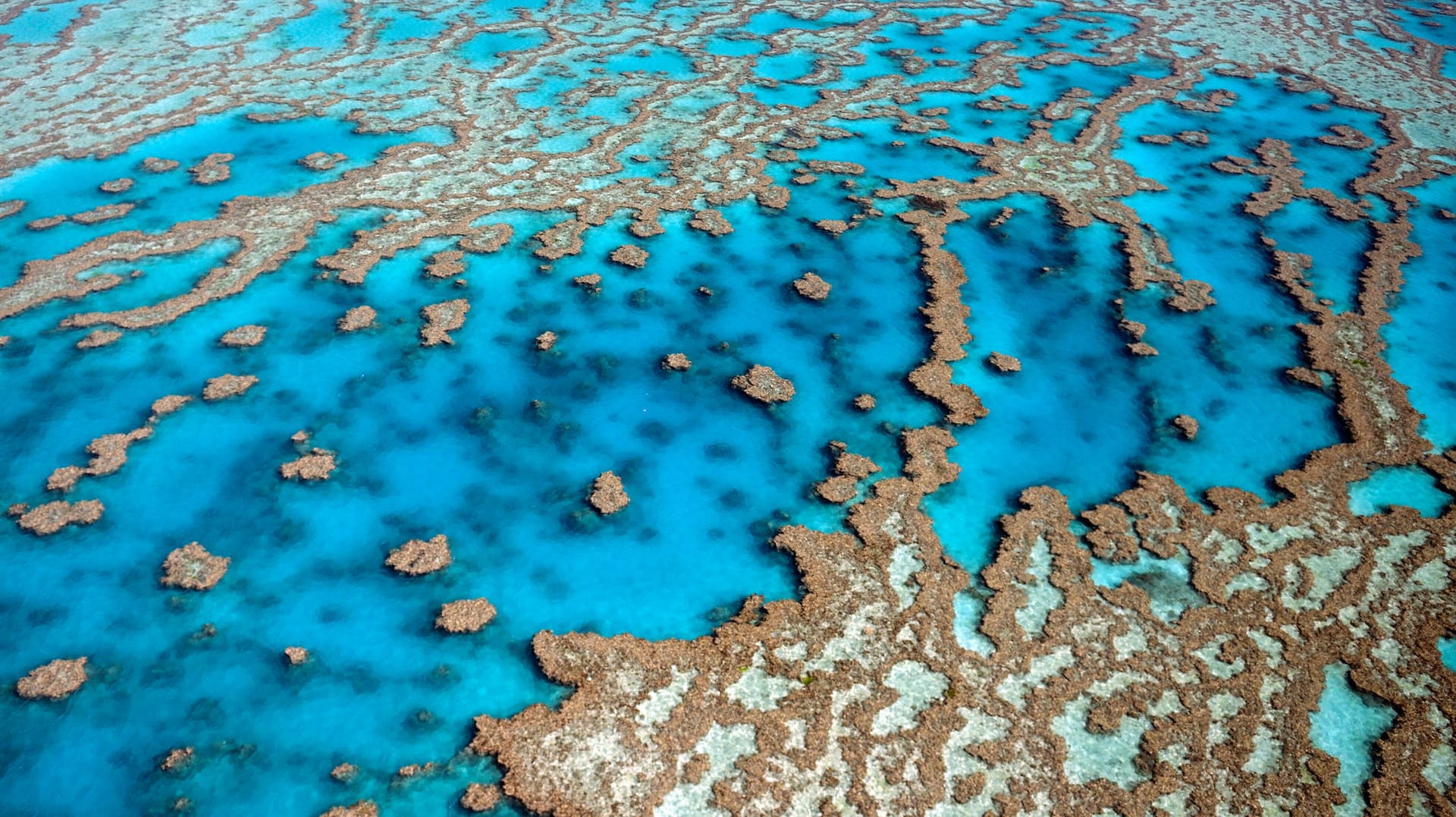 Das Great Barrier Reef in Australien: Die Unesco ist besorgt über den Zustand des Korallenriffs (Archivfoto).