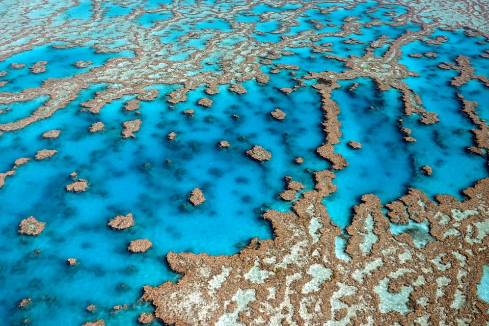 Das Great Barrier Reef in Australien: Die Unesco ist besorgt über den Zustand des Korallenriffs (Archivfoto).