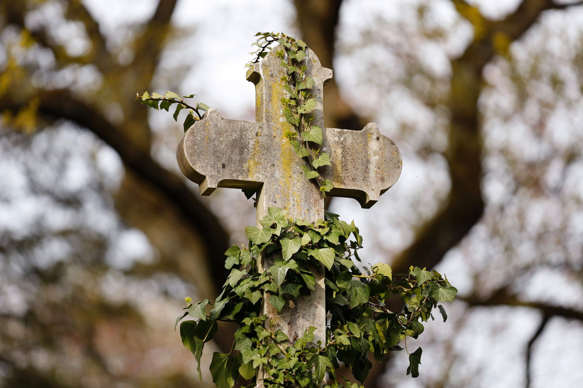 Ein Grab mit Kreuz auf einem Friedhof (Symbolbild): In Nürnberg hat ein Unbekannter Räume in einem Gebäude des Westfriedhofs beschädigt.