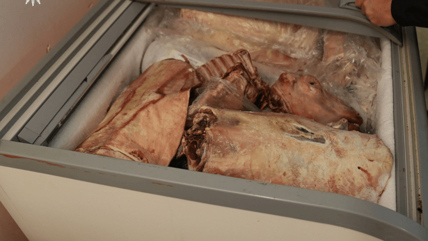 Unverpacktes Fleisch liegt in einer Truhe: In Leipzig wurden mehrere Objekte durchsucht. Unverpacktes Fleisch liegt in einer Truhe: In Leipzig wurden mehrere Objekte durchsucht.