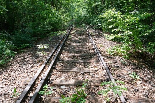 Teilweise zugewachsene Bahnschienen