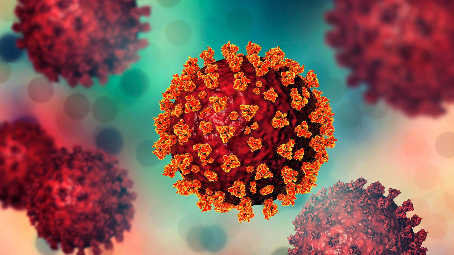 Illustration des Coronavirus: Das Virus verändert sich.