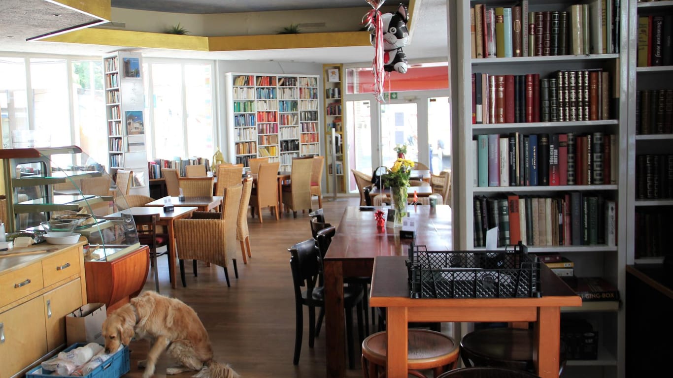 Bücherregale so weit das Auge reicht: Die Bibliothek des Café Goldmund umfasst rund 2.500 Bücher aus verschiedensten Genres.