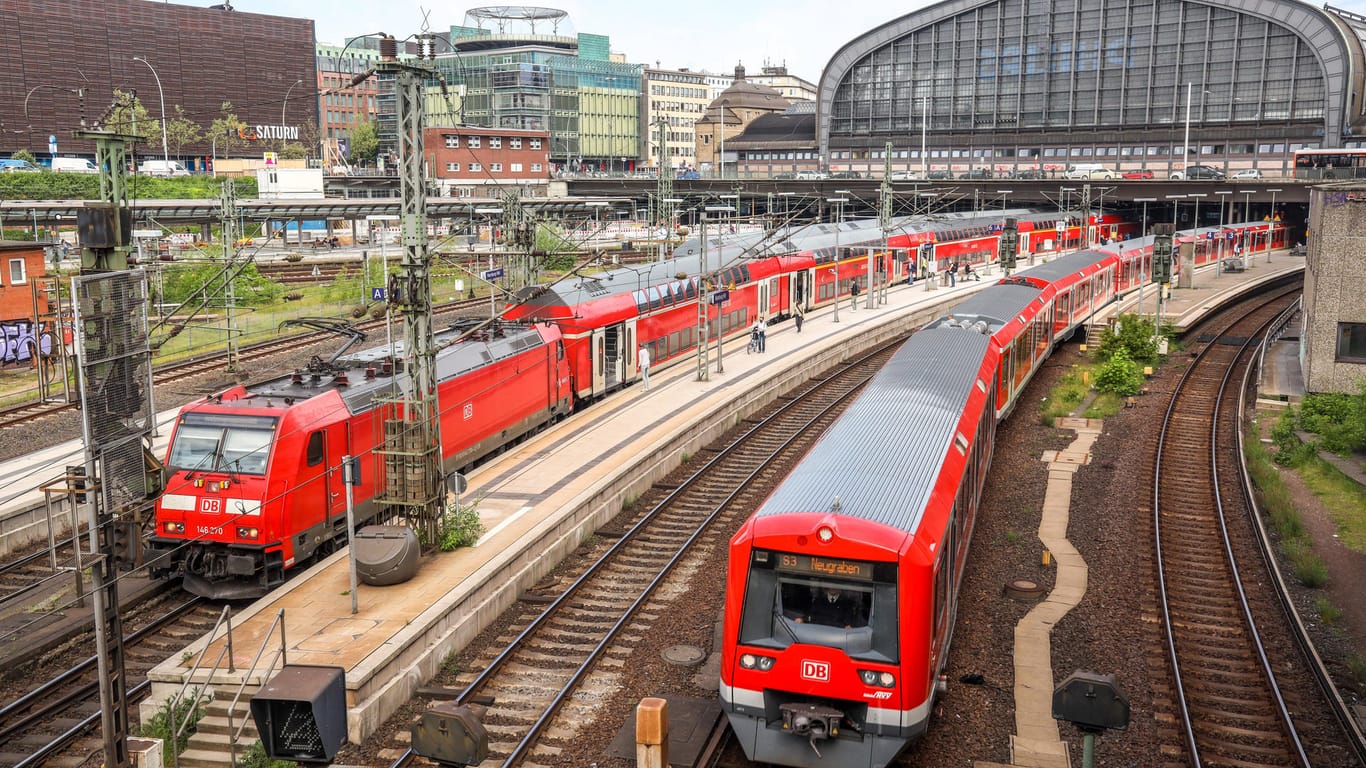 S-Bahnen am Hamburger Hauptbahnhof (Archivbild): Der Zugverkehr lag für 90 Minuten lahm.