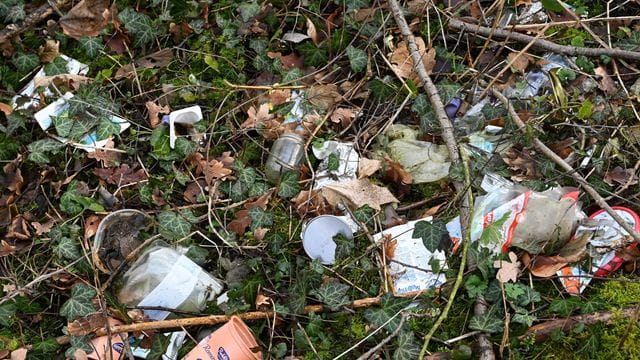 Müll im Wald
