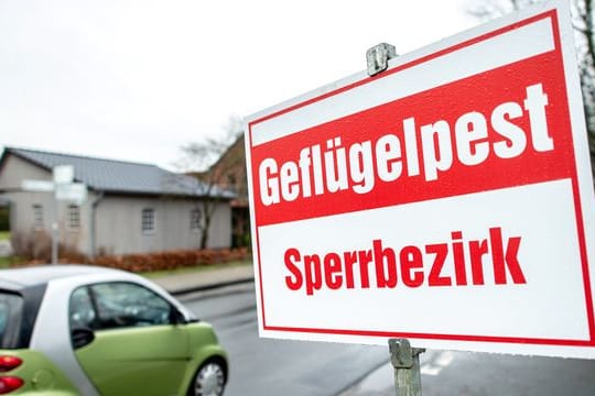 Geflügelpest in Niedersachsen