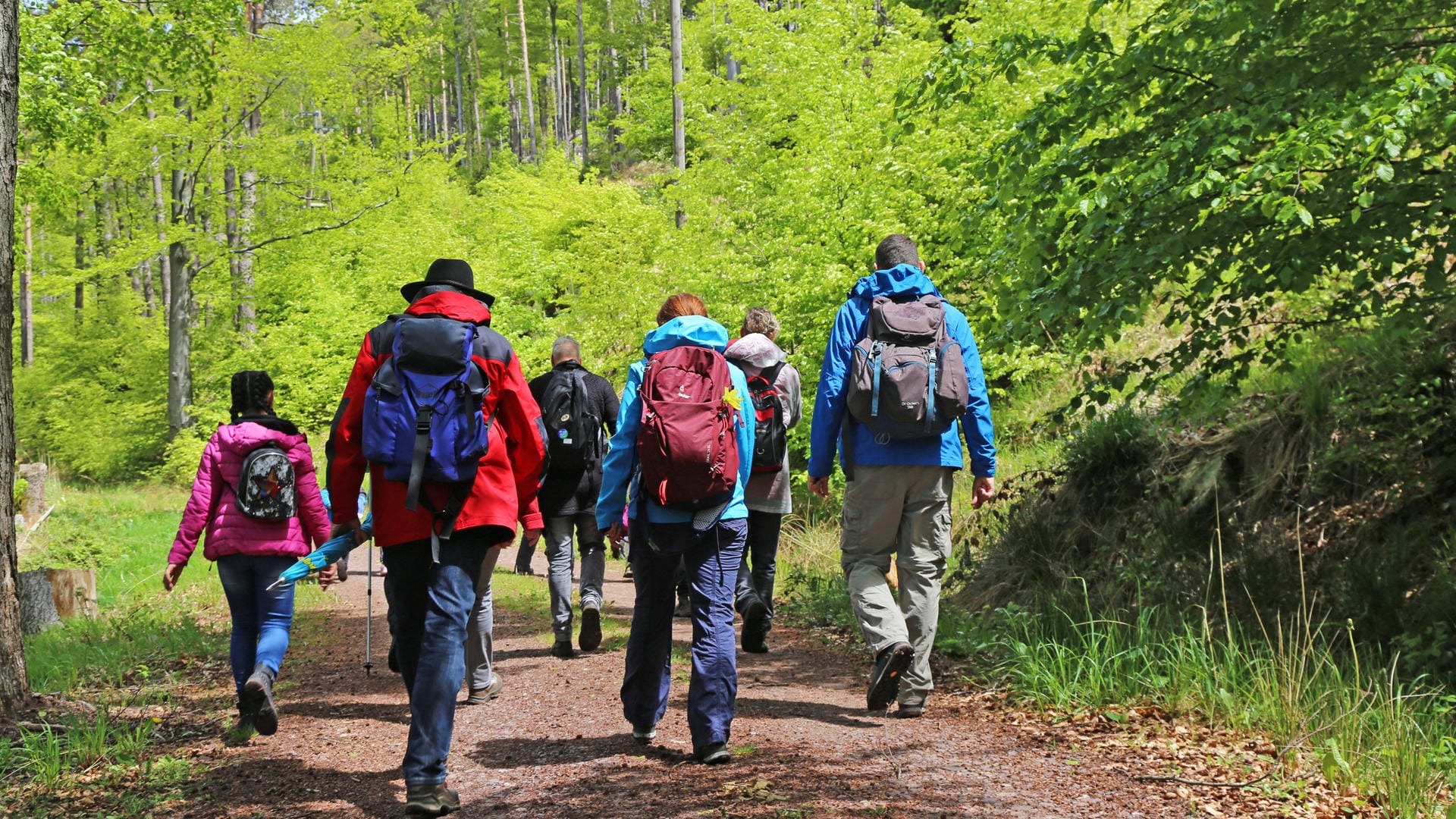 Gruppe von Wanderern im Pfälzerwald in Rheinland-Pfalz: In der Corona-Krise nutzten viel mehr Menschen den Wald als Erholungsort.