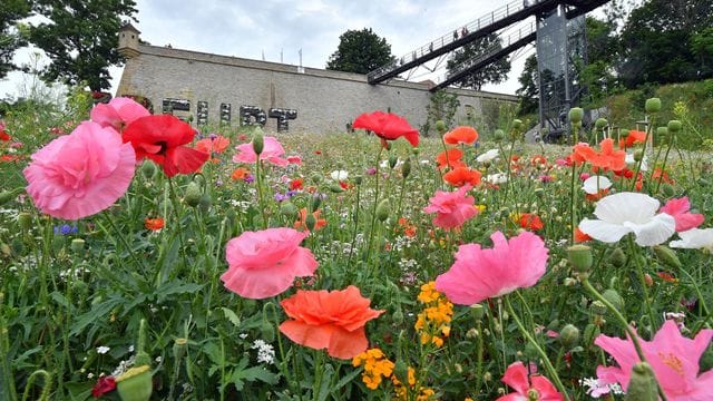 Die neugebaute Aufzugsanlage an der Festung Petersberg: Zum Tag der Architektur sind in Thüringen viele Bauwerke geöffnet.