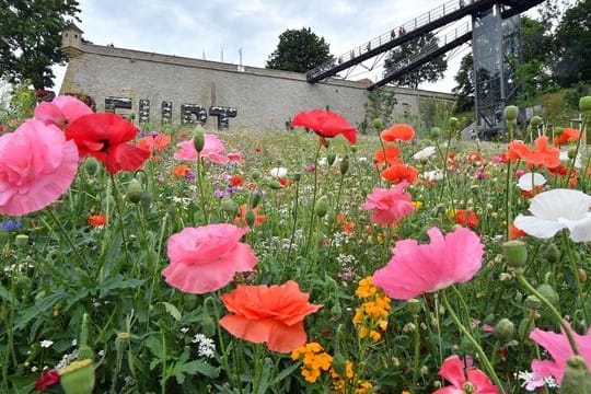 Die neugebaute Aufzugsanlage an der Festung Petersberg: Zum Tag der Architektur sind in Thüringen viele Bauwerke geöffnet.