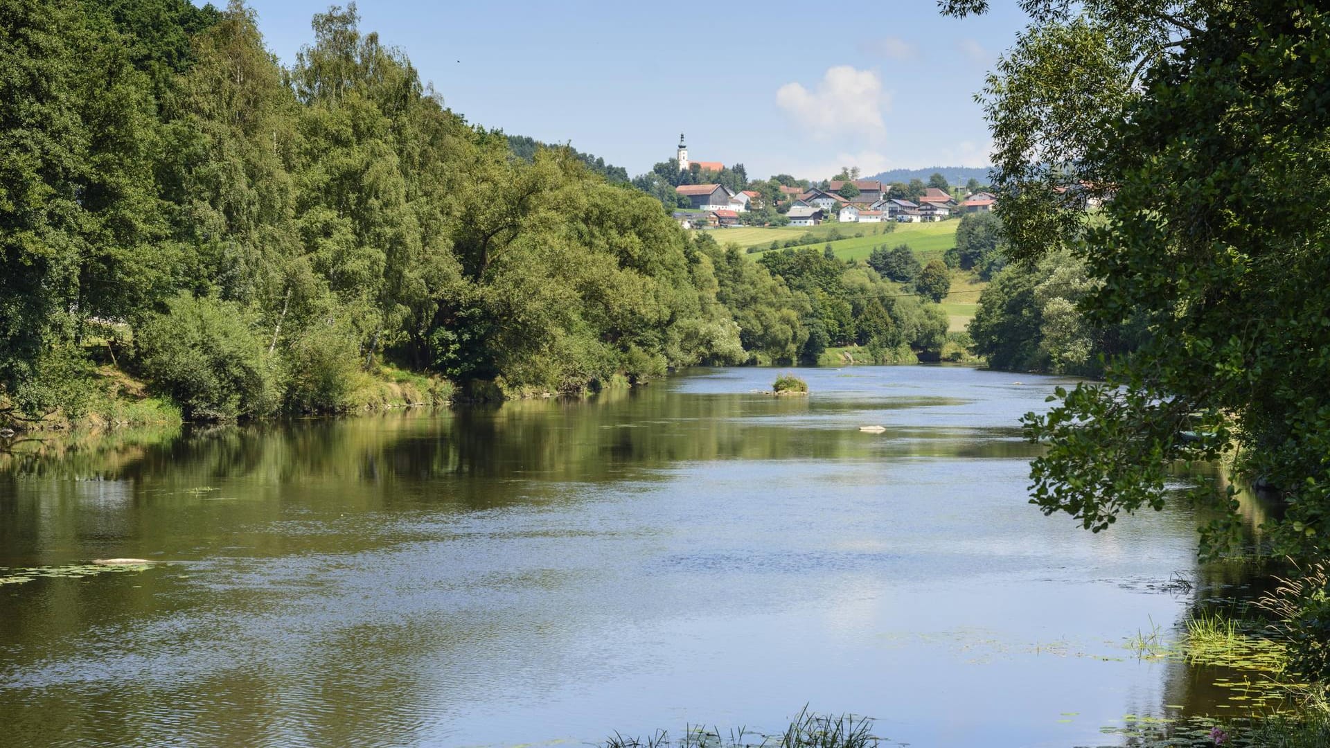 Der Fluss Regen in der Oberpfalz: Vater und Sohn waren bei ihrer Rettung bewusstlos. Der Fluss Regen in der Oberpfalz: Vater und Sohn waren bei ihrer Rettung bewusstlos.