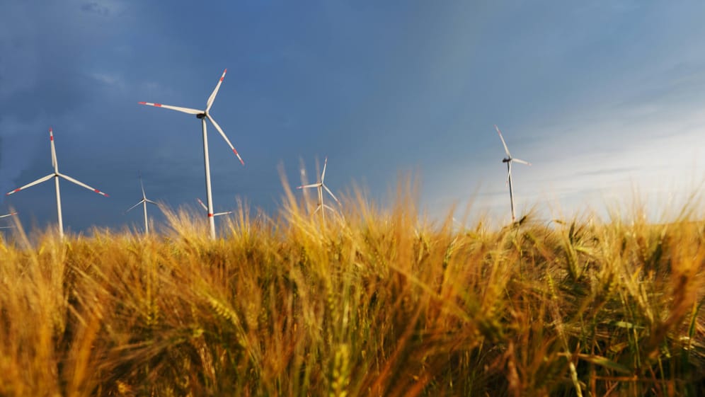 Windkrafträder in der Uckermark: Der Verbrauch an Ökostrom in Deutschland ist gesunken.