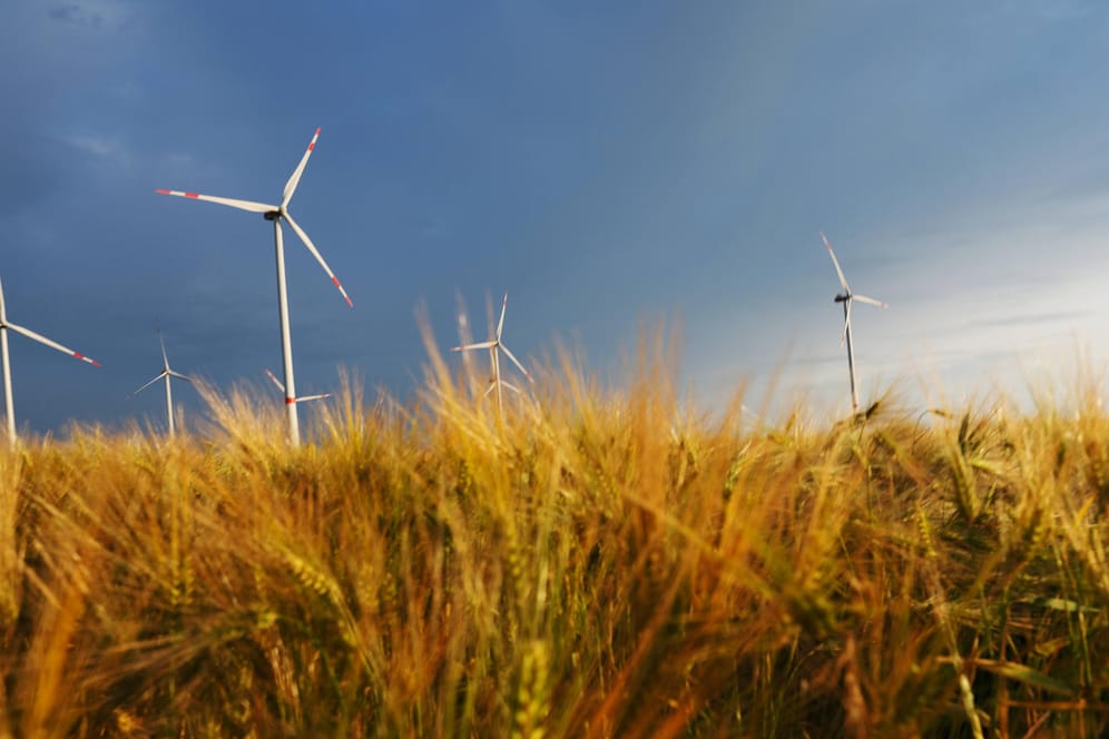 Windkrafträder in der Uckermark: Der Verbrauch an Ökostrom in Deutschland ist gesunken.