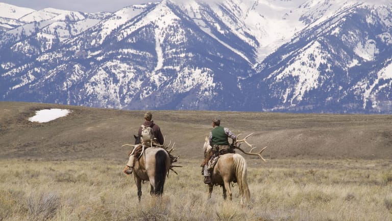 Reiter sammeln Elchgeweihe nahe Jackson: Auch der Hedgefondsmanager darf Cowboy spielen.
