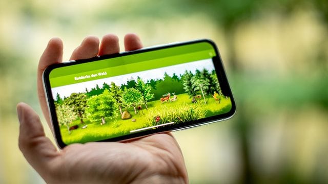 "Tok,tok,tok,tok,tok": Klar, so macht der Specht im Wald, nachzuhören in der "Waldfibel-App". "Tok,tok,tok,tok,tok": Klar, so macht der Specht im Wald, nachzuhören in der "Waldfibel-App".