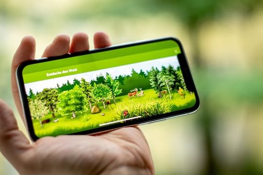 "Tok,tok,tok,tok,tok": Klar, so macht der Specht im Wald, nachzuhören in der "Waldfibel-App".