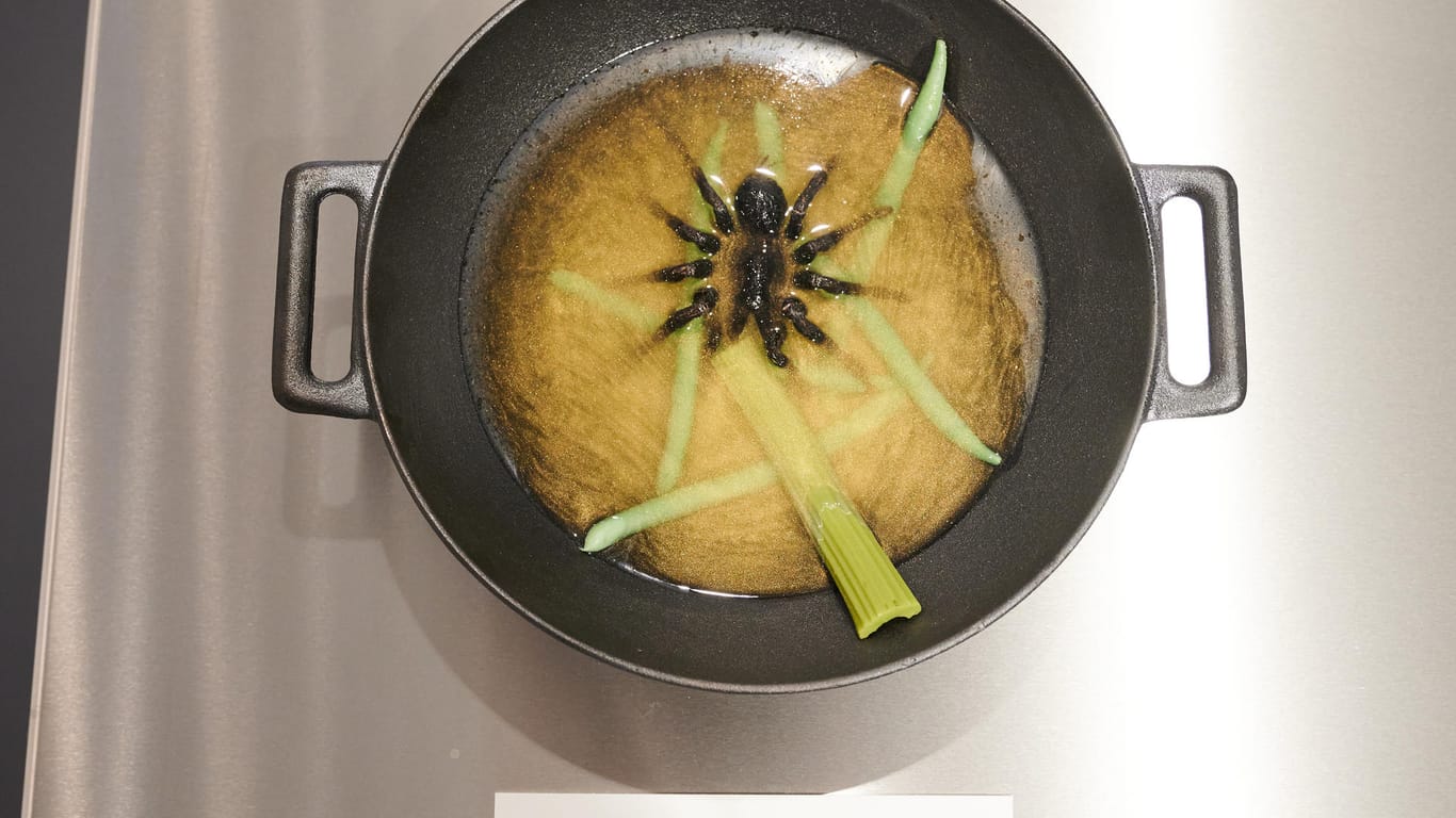 Eine Tarantula liegt in einer Suppe: Die Ausstellung zeigt Gerichte aus aller Welt.