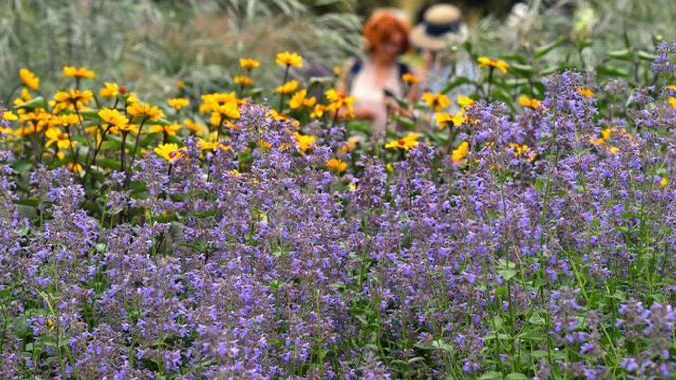 Bundesgartenschau-Themenwoche