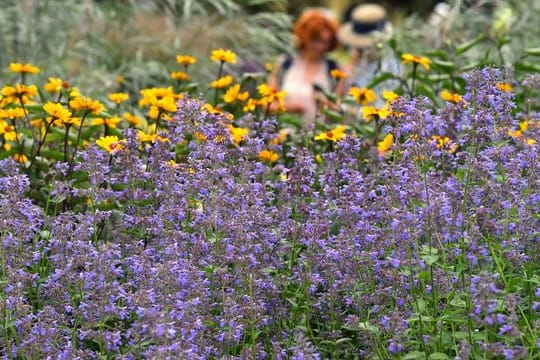 Bundesgartenschau-Themenwoche