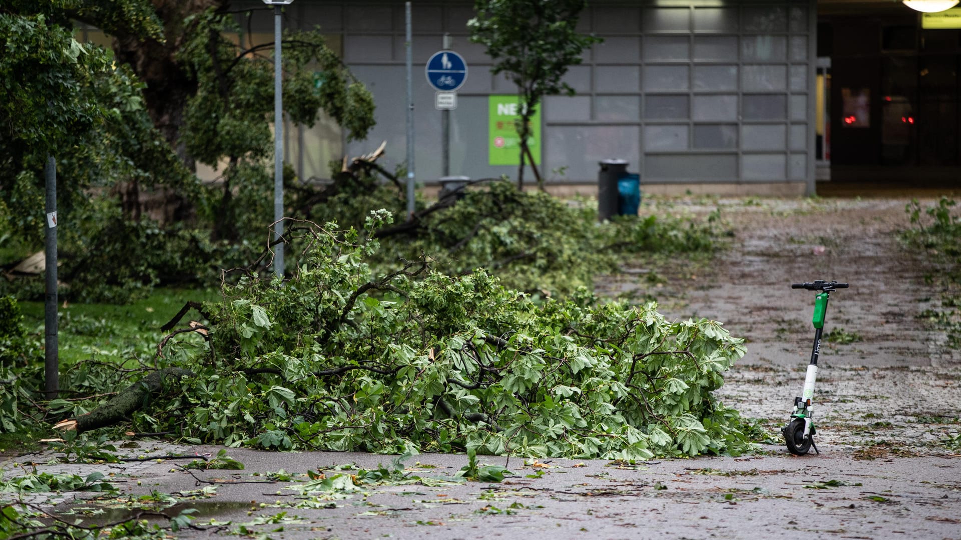 Vom Unwetter abgebrochene Äste auf einem Weg in Stuttgart (Symbolbild): In einem Wald in der Umgebung ist ein Pedelec-Fahrer schwer verletzt worden. Vom Unwetter abgebrochene Äste auf einem Weg in Stuttgart (Symbolbild): In einem Wald in der Umgebung ist ein Pedelec-Fahrer schwer verletzt worden.
