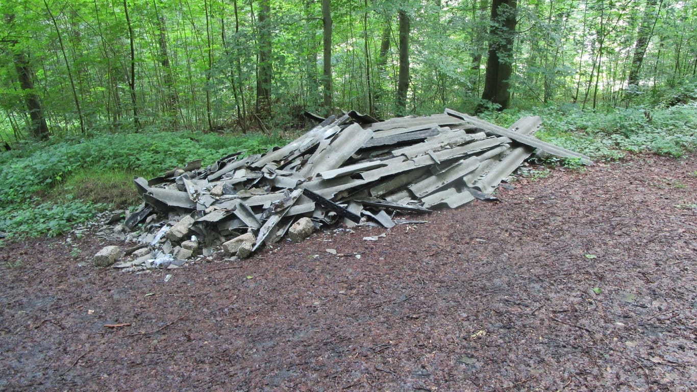Der gefundene Haufen Asbest im Wald in Östringen: Die Polizei sucht nach Hinweisen zu der illegalen Entsorgung.
