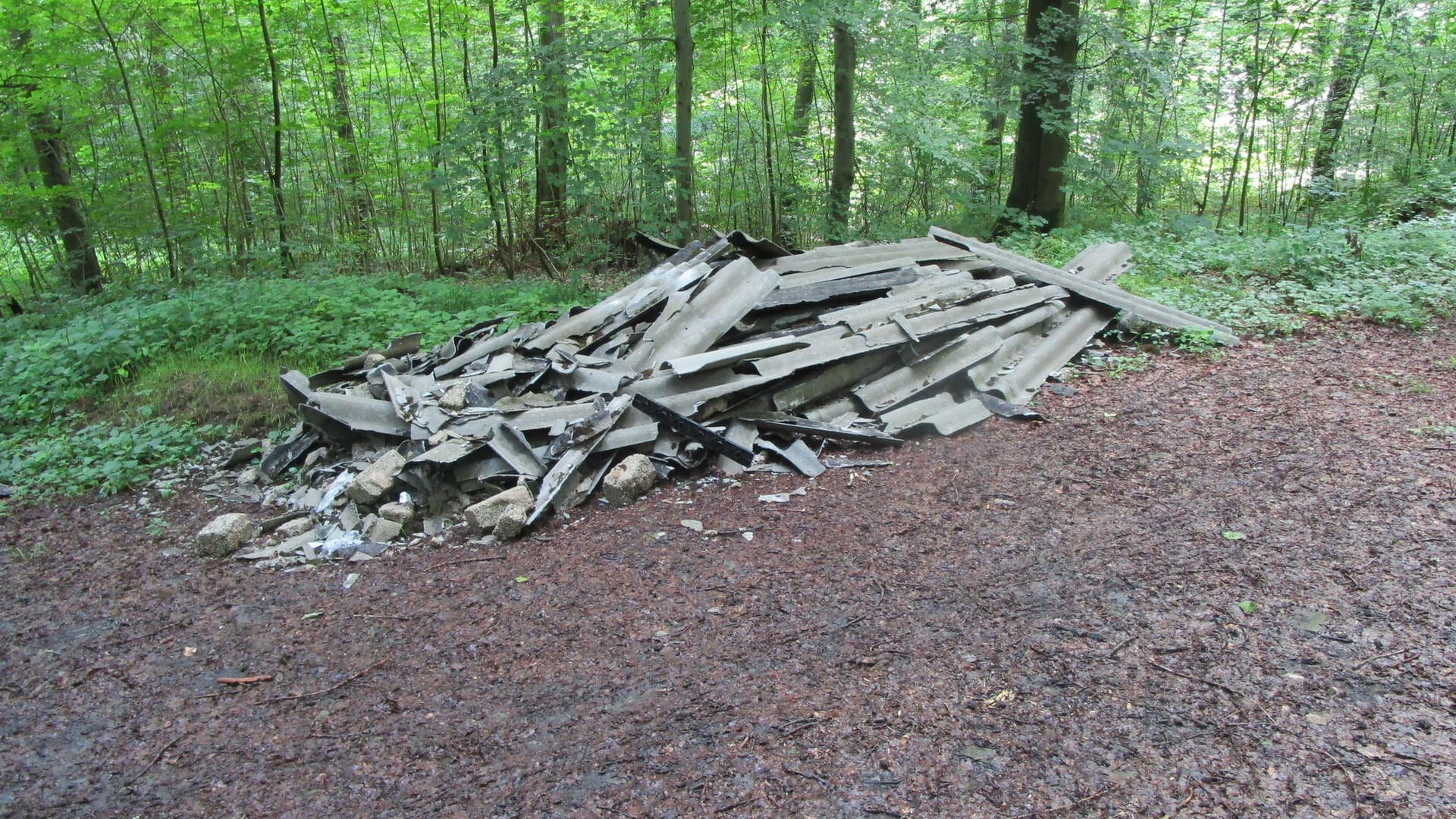 Der gefundene Haufen Asbest im Wald in Östringen: Die Polizei sucht nach Hinweisen zu der illegalen Entsorgung.