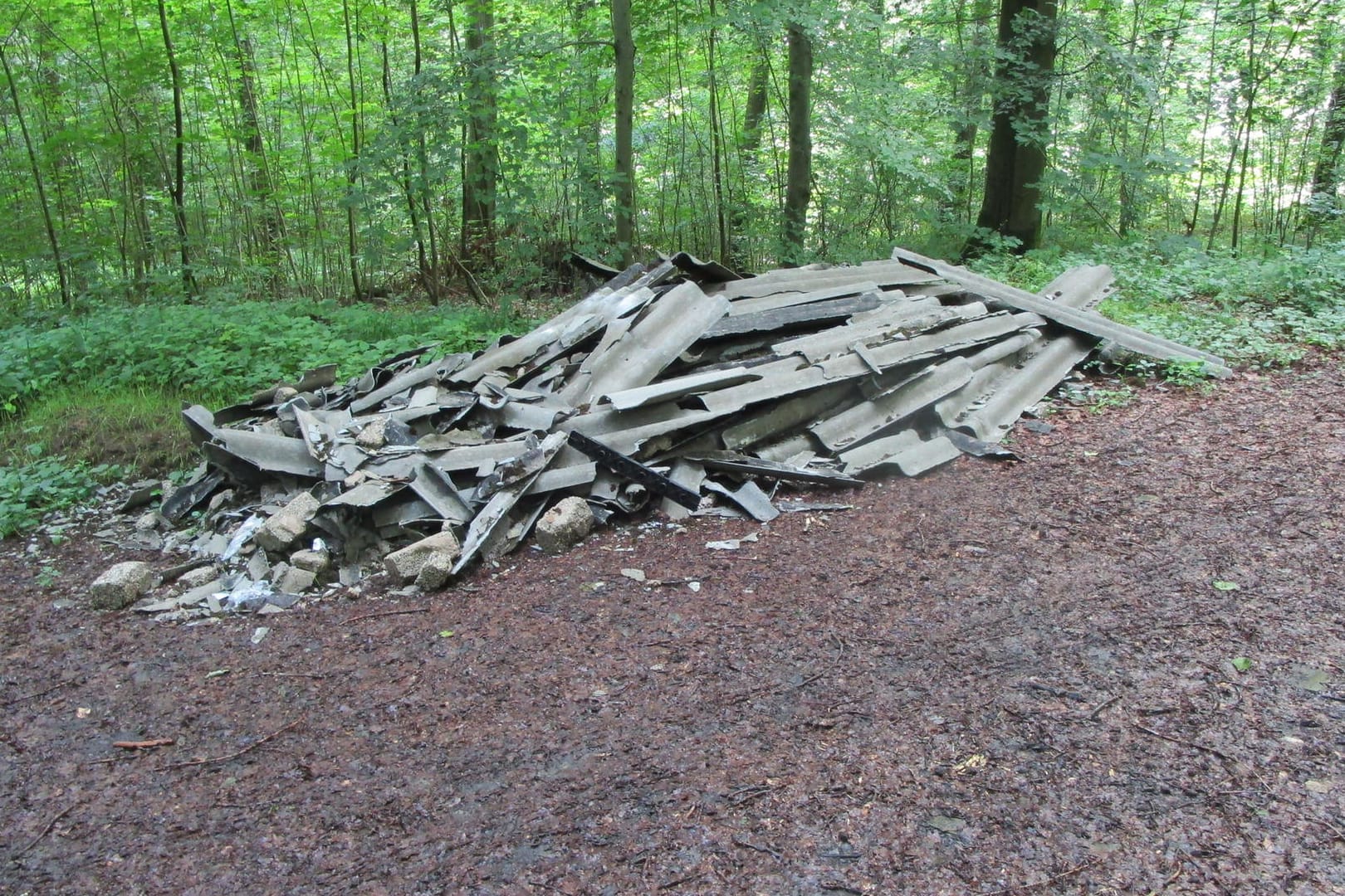 Der gefundene Haufen Asbest im Wald in Östringen: Die Polizei sucht nach Hinweisen zu der illegalen Entsorgung.