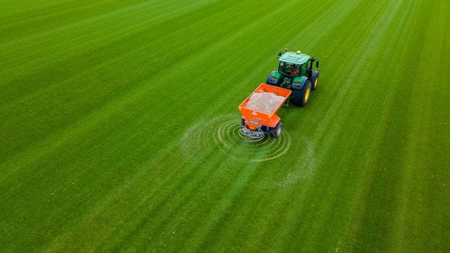 Zukünftiger Rollrasen für Fußballstadien wird auf einer Anbaufläche mit Sand bestreut.