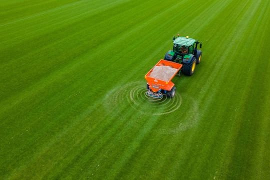 Zukünftiger Rollrasen für Fußballstadien wird auf einer Anbaufläche mit Sand bestreut.