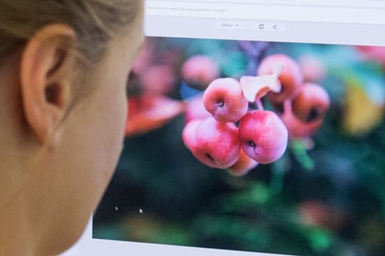 Acht Programme zum Bearbeiten von Fotos wurden getestet - einige sind im Abo erhältlich, andere werden gekauft.