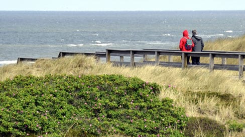 Spaziergang an der Küste: Gerade der Sonntag bietet sich dafür an