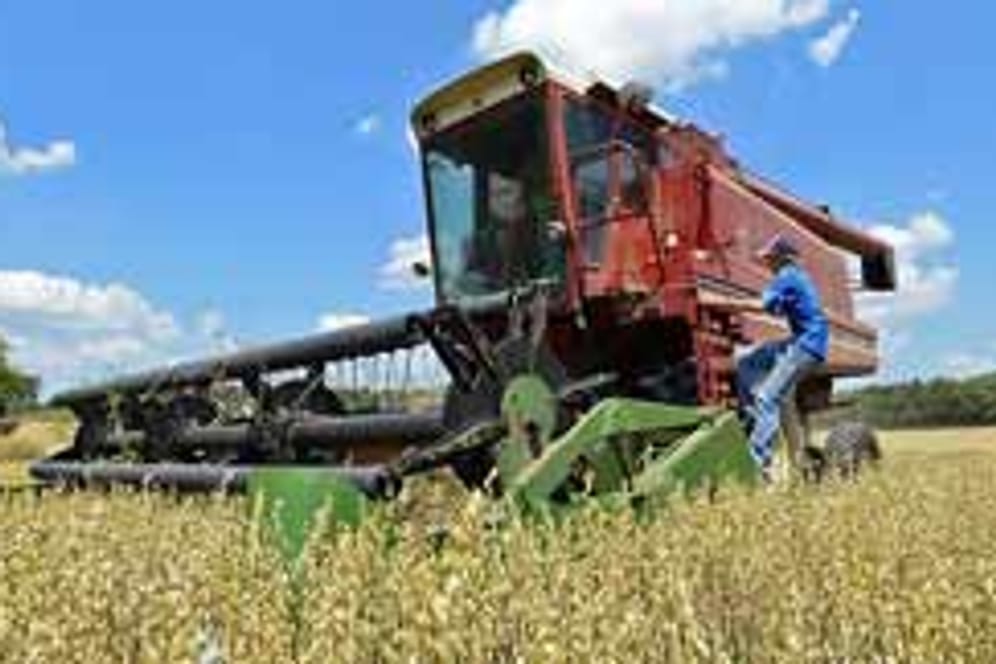 Haferernte in Wisconsin, USA: Das Getreide wird eingeholt, bevor die Dürre noch mehr Schaden anrichtet
