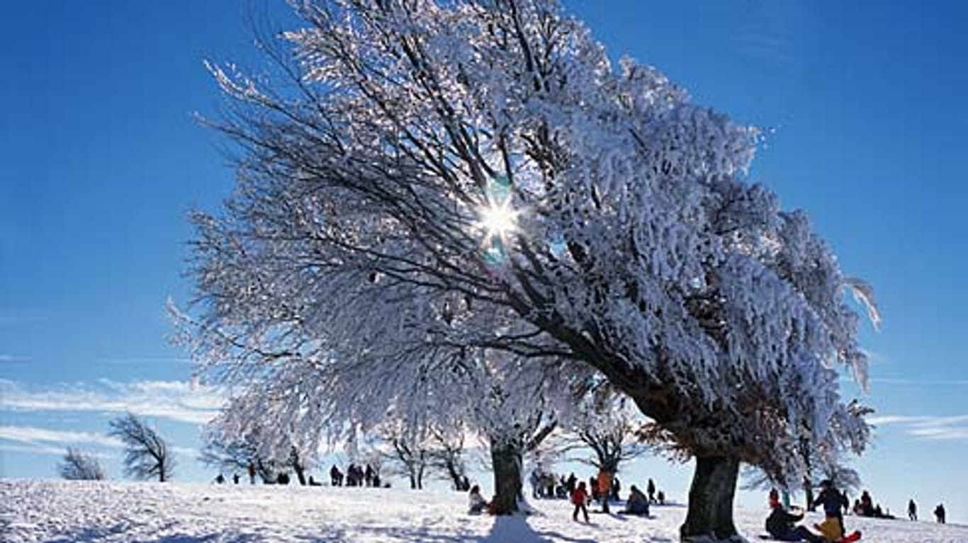 Selbst im Winter kann die Wärme der Sonne noch eingefangen werden. (