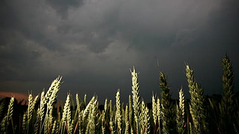 Gewitter: Die heiße und feuchte Luft ist sehr gewitterträchtig