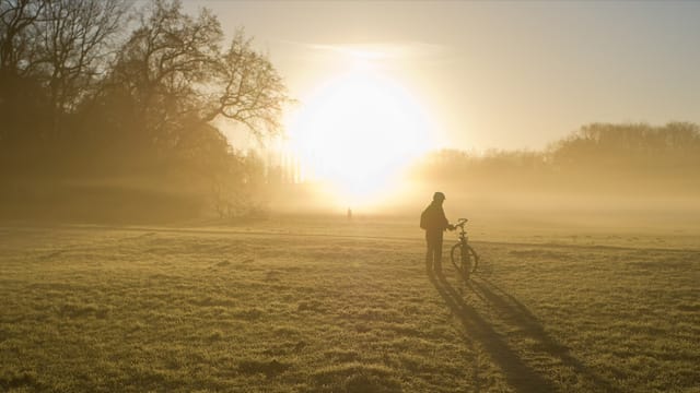 Die Sonne hat es derzeit nicht leicht. Vielerorts liegt, wie hier in Berlin, Nebel in der Luft