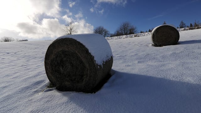 Winterwetter in Deutschland