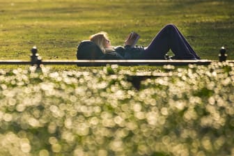 Sonnenbaden im Berliner Tiergarten - das schöne Wetter macht's möglich