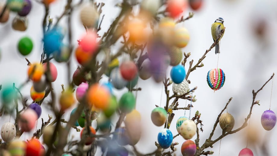 Wetter an Ostern: Noch ist für die Eiersuche alles drin - von Regen bis Sonnenschein