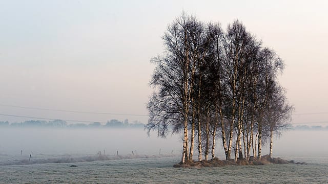 Am Wochenende droht Bodenfrost: Besonders die Nächte können ungemütlich kalt werden. Am Wochenende droht Bodenfrost: Besonders die Nächte können ungemütlich kalt werden.