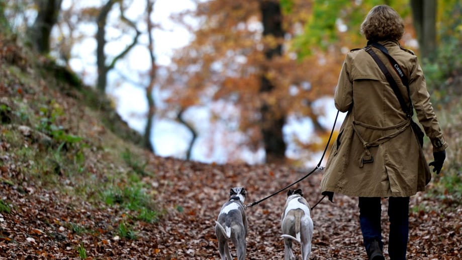 Mit Regenjacke steht einem ruhigen Herbstspaziergang in den nächsten Tagen nichts im Wege