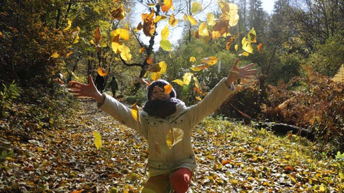 Herbststimmung genießen: Am Wochenende gibt es regional sehr milde und teils sonnige Stunden