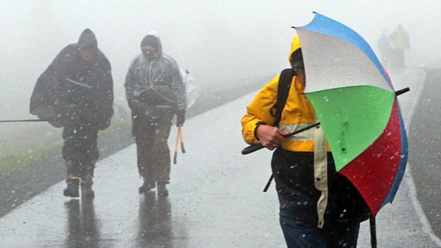 Schneefall wird in vielen Gegenden Deutschlands eher so aussehen