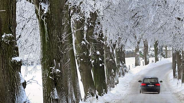 Das Wochenende wird winterlich: In den Mittelgebirgen - wie hier im Erzgebirge - können bis zu 50 Zentimeter Neuschnee fallen.