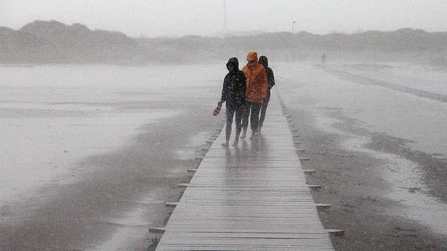 Hartgesottene Wattläufer an der nordfriesischen Küste: Vor allem im Nordwesten wird's stürmisch.