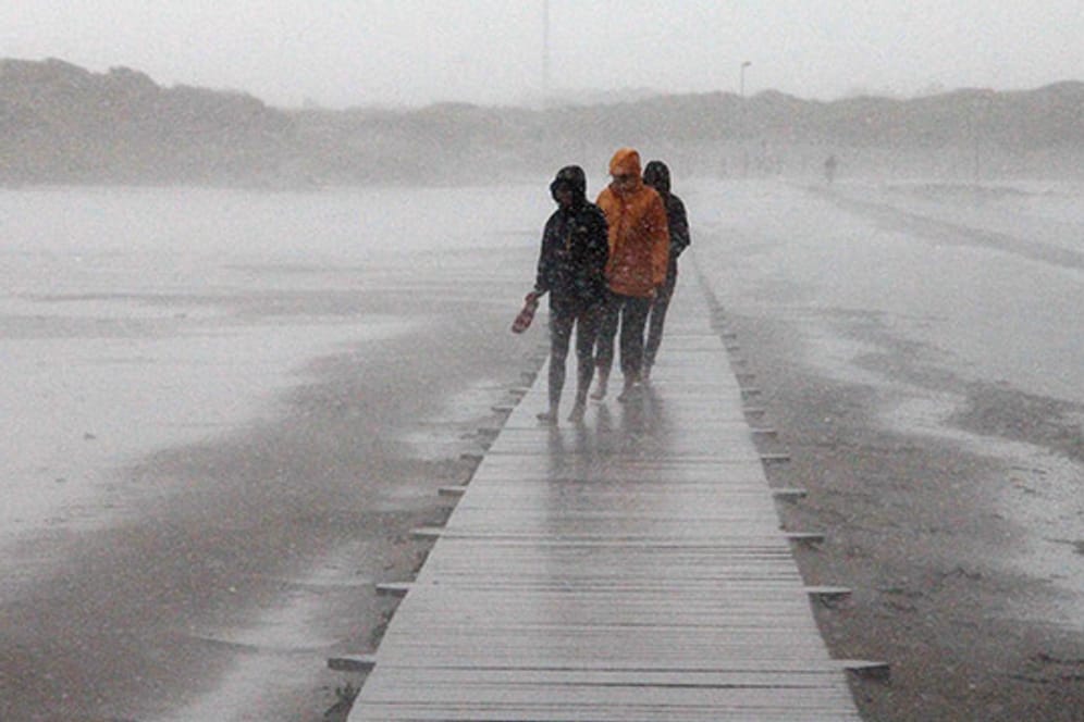 Hartgesottene Wattläufer an der nordfriesischen Küste: Vor allem im Nordwesten wird's stürmisch.