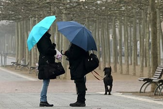 Beständiges Regenschirmwetter, auch wenn es nicht regnet, gibt es derzeit nicht nur in Düsseldorf. Nur wenn der Wind zu stark wird, sollte man den Regenschirm schließen.
