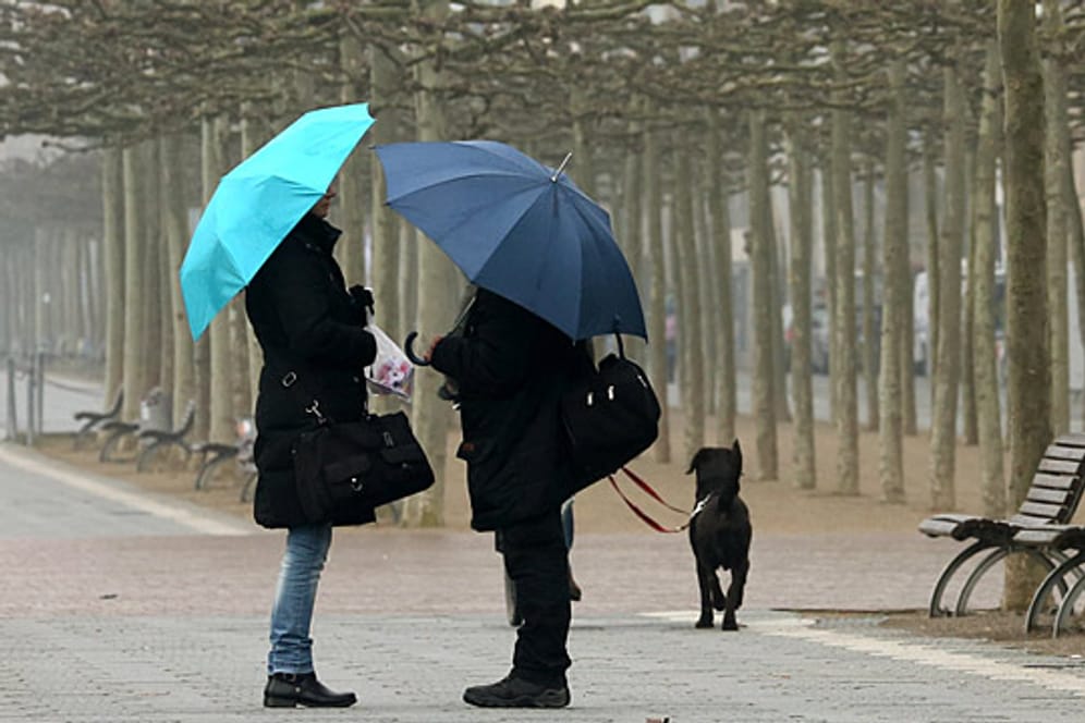 Beständiges Regenschirmwetter, auch wenn es nicht regnet, gibt es derzeit nicht nur in Düsseldorf. Nur wenn der Wind zu stark wird, sollte man den Regenschirm schließen.