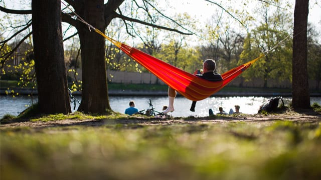 Das schöne Frühlingswetter kommt auch wieder nach Berlin zurück.
