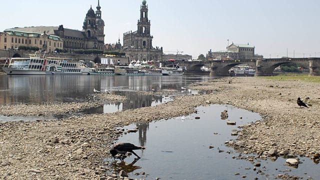 Niedrigwasser der Elbe in Dresden nach lang anhaltender Trockenheit: das Flussbett am Neustädter Ufer. Niedrigwasser der Elbe in Dresden nach lang anhaltender Trockenheit: das Flussbett am Neustädter Ufer.