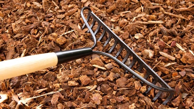 Rindenmulch wird mit einer Harke bearbeitet: Achten Sie darauf, dass Sie vor dem Aufbringen der Mulchschicht vorhandenes Unkraut restlos entfernen.